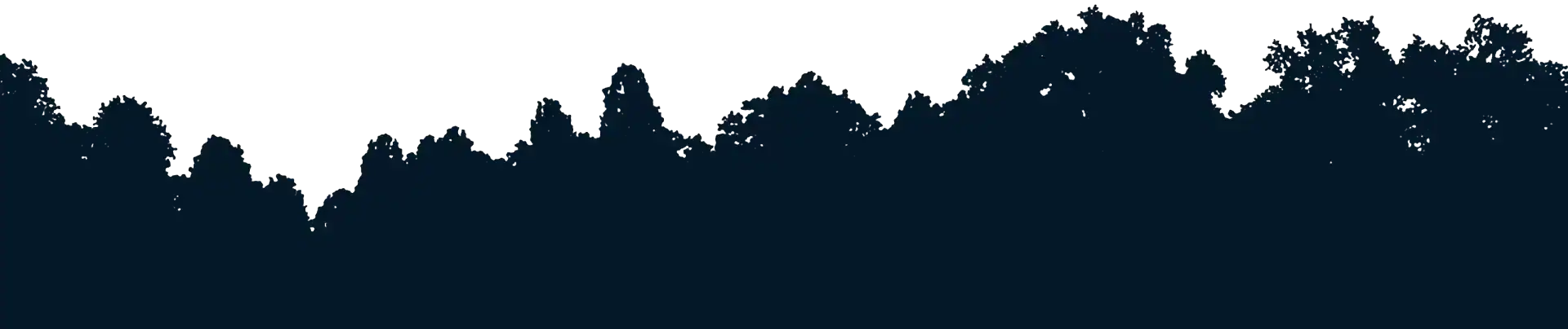 Social media advertising campaign with engaging visuals and targeted messaging.