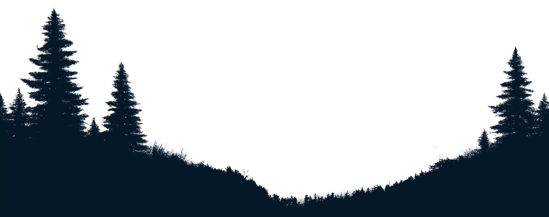 Social media advertising campaign with targeted ad visuals and analytics.